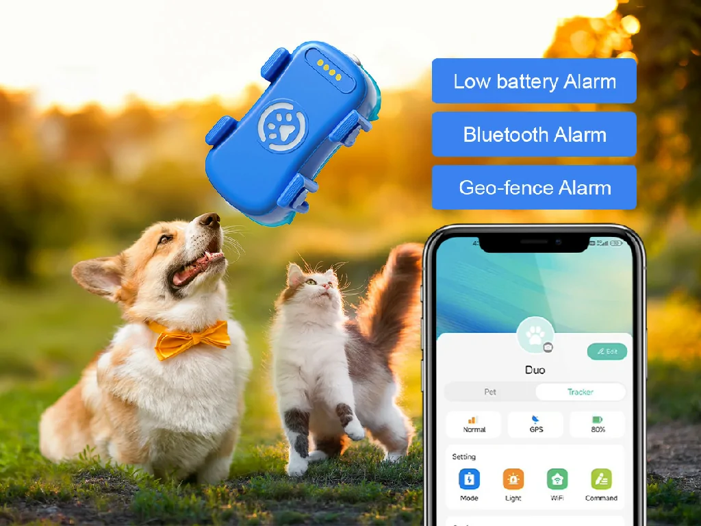 A dog and cat with the GTP10 pet tracker, illustrating safety alerts like low battery and geo-fence on the Galagps app.